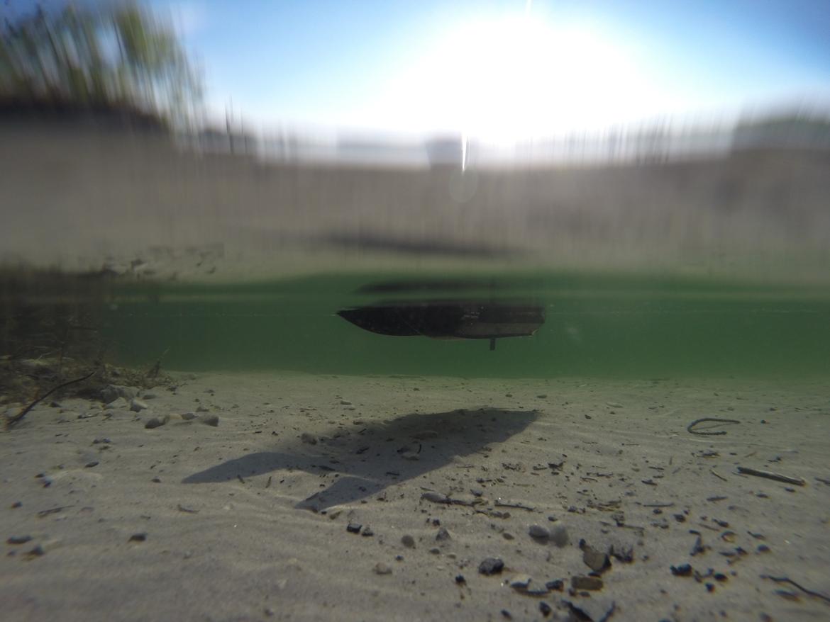 Båd Centurion Mini Brushless Catamaran billede 5