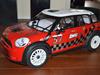 Buggy Losi Mini Wrc   SOLGT