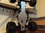 Off-Roader Traxxas nitro rustler