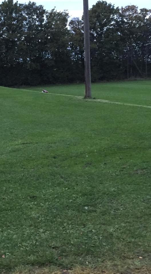 Off-Roader Hpi Savage x 4.6 Big Block billede 14