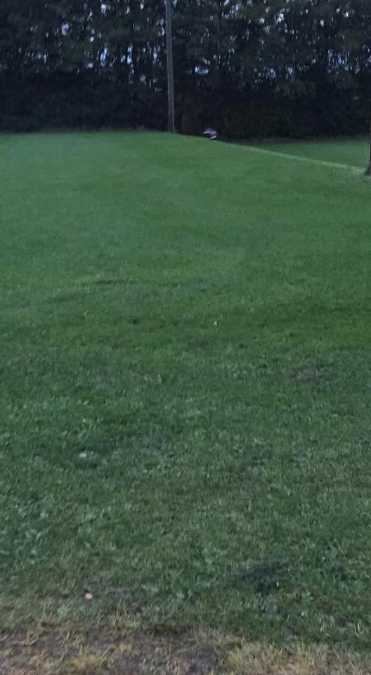 Off-Roader Hpi Savage x 4.6 Big Block billede 13