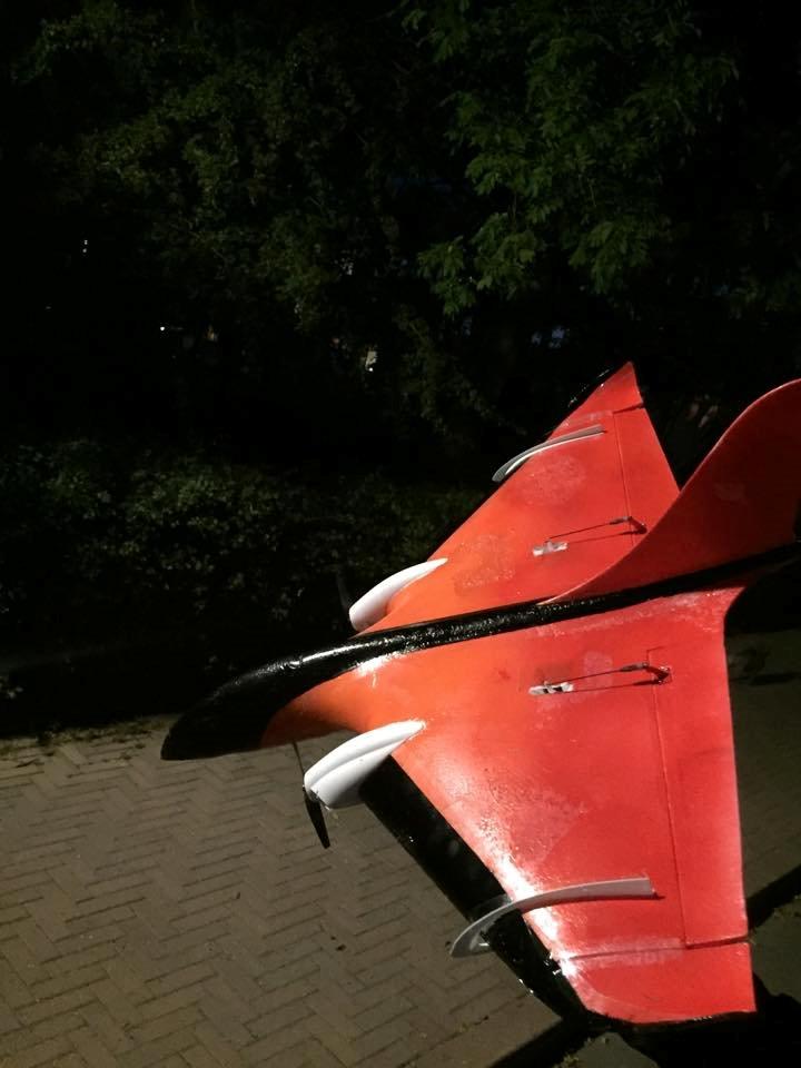 Fly Delta Ray billede 3