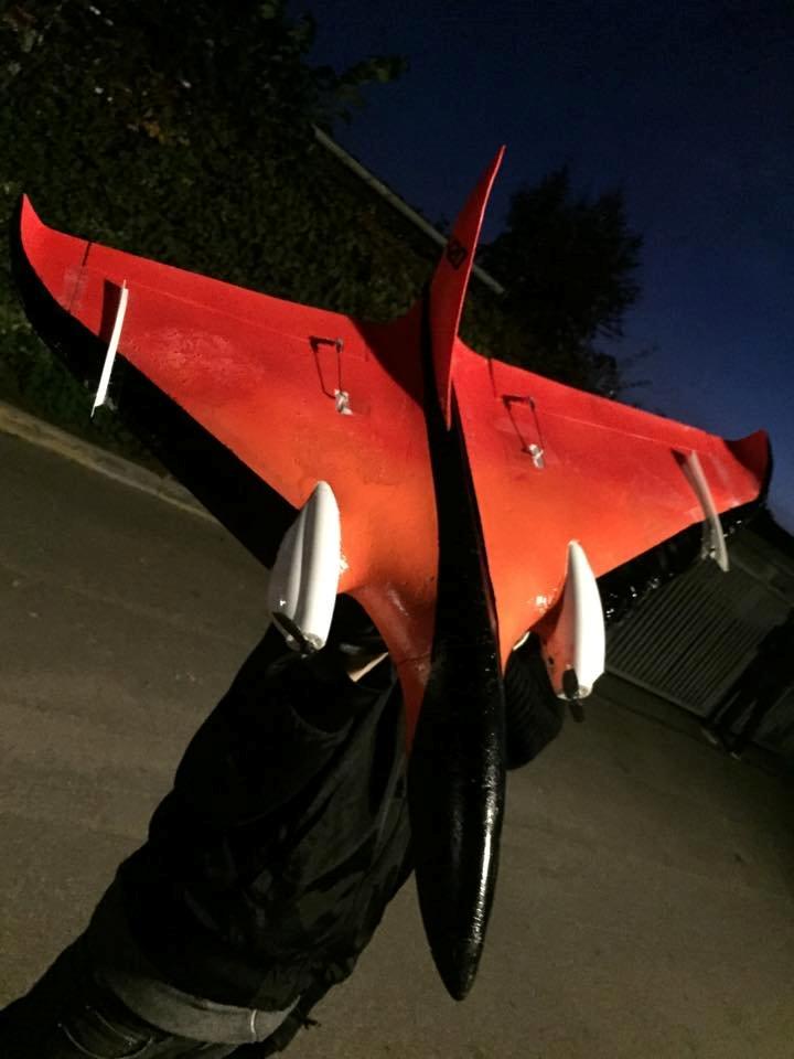 Fly Delta Ray billede 1