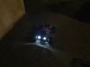 Bil T2M pirate grizzly monster truck