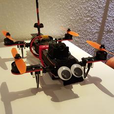 Multirotor Mini Mamba V1 