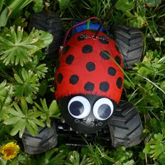 Off-Roader RulleMarie, Atech Mini monster