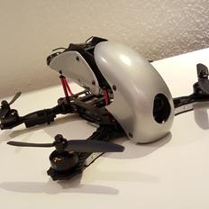 Multirotor Robocat 270 