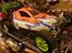 Buggy Elcon Imp4ct XL - FG-Hobby edition