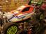 Buggy Elcon Imp4ct XL - FG-Hobby edition
