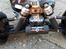 Buggy Hpi Vorza