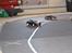 Bil Tamiya 416 WE (Drifter)
