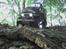 Truck Tamiya CC-01 Toyaota Landcruiser
