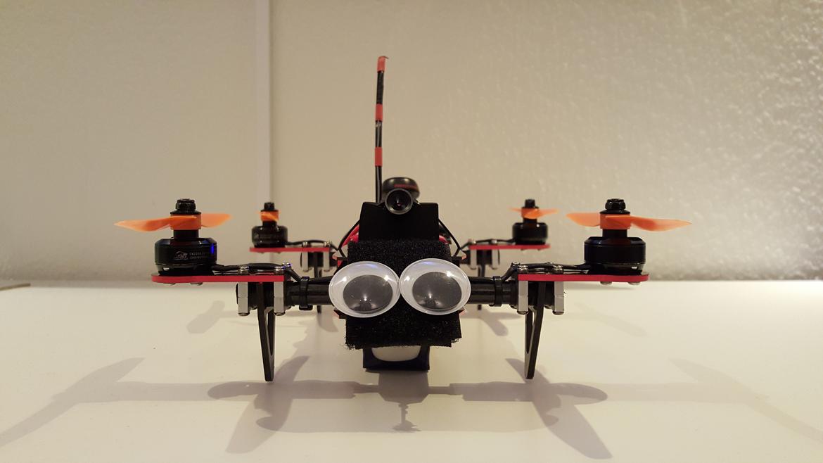 Multirotor Mini Mamba V1  billede 1