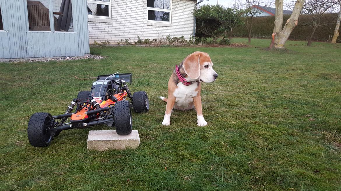 Buggy hpi baja 5b billede 8