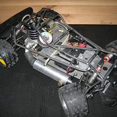 Buggy serpent cobra