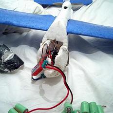 Fly Multiplex EasyStar