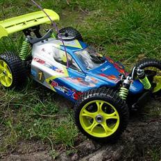 Buggy Rex-x |SOLGT|