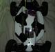 Buggy Hyper 7 pro
