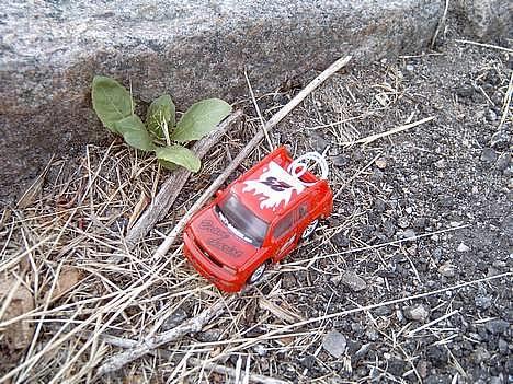 Bil Scion XB billede 1