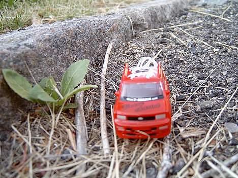 Bil Scion XB billede 3