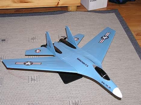 Fly Fighting eagle billede 1