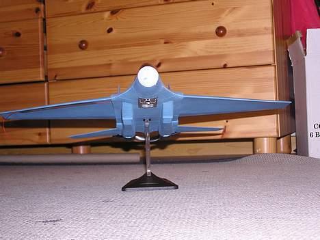 Fly Fighting eagle billede 3