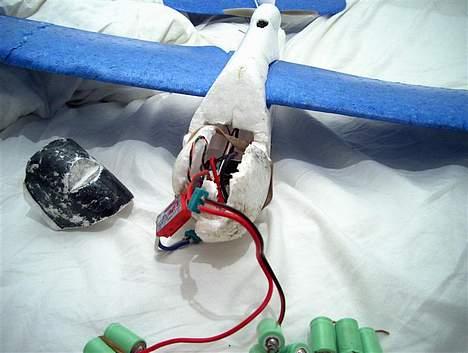 Fly Multiplex EasyStar billede 1