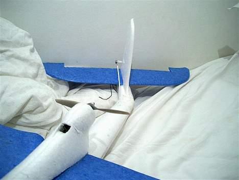 Fly Multiplex EasyStar billede 3