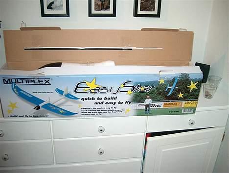 Fly Multiplex EasyStar billede 4