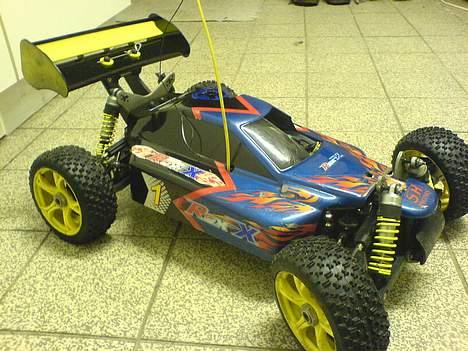 Buggy Rex-x billede 16