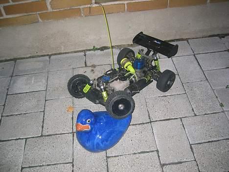 Buggy Rex-x Solgt ! billede 7