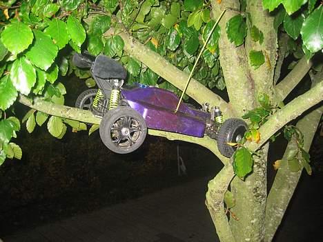 Buggy Rex-x Solgt ! billede 8