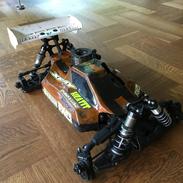 Buggy Xray XB8 2015