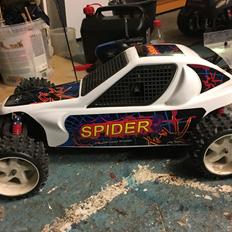 Buggy Spider