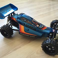Buggy Tamiya Egress 2013