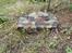 Militær Tamiya Königstiger
