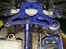 Buggy hsp Rattelsnake nitro bil rtr 