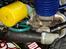 Buggy hsp Rattelsnake nitro bil rtr 