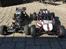 Buggy Losi Dessert Buggy ( DBXL )