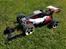 Buggy FG BAJA COMPETITION