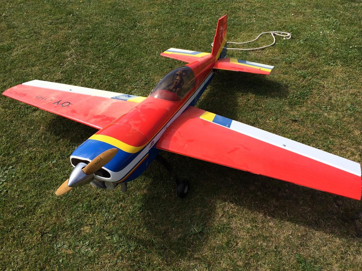 Fly Extra 300 - Foto efter styrt flyver helt dækket i pollen billede 28