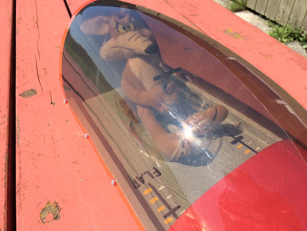 Fly Extra 300 - Piloten Mr. Wile E. Coyote billede 12