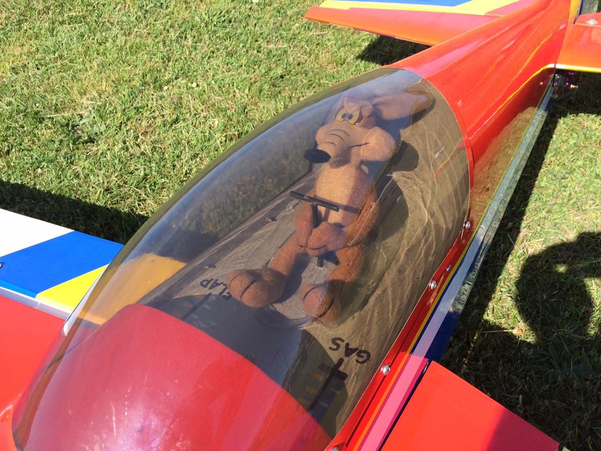 Fly Extra 300 - Piloten Mr. Wile E. Coyote billede 13