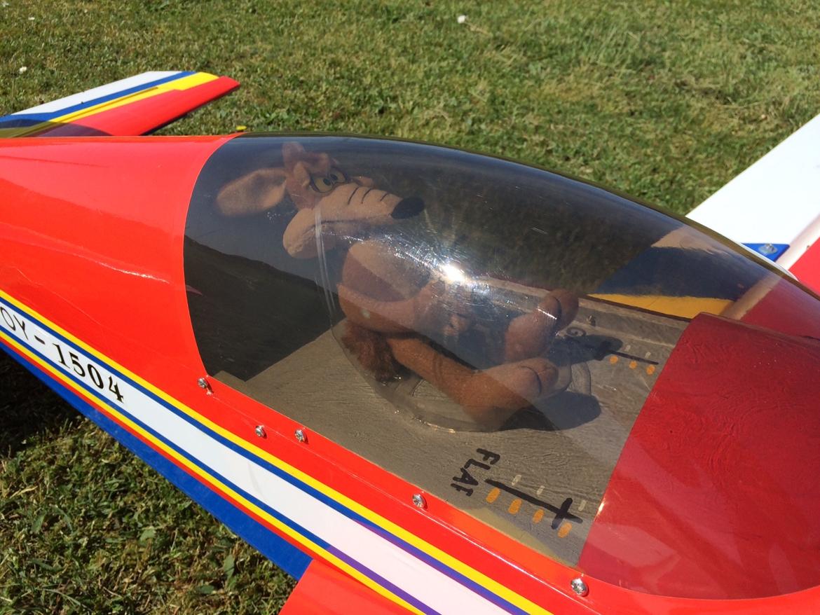 Fly Extra 300 - Piloten Mr. Wile E. Coyote billede 14