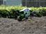 Off-Roader Grave Digger