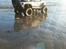 Truck Axial scx10 2012 Jeep Wrangler C/R