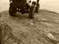 Truck Axial scx10 2012 Jeep Wrangler C/R