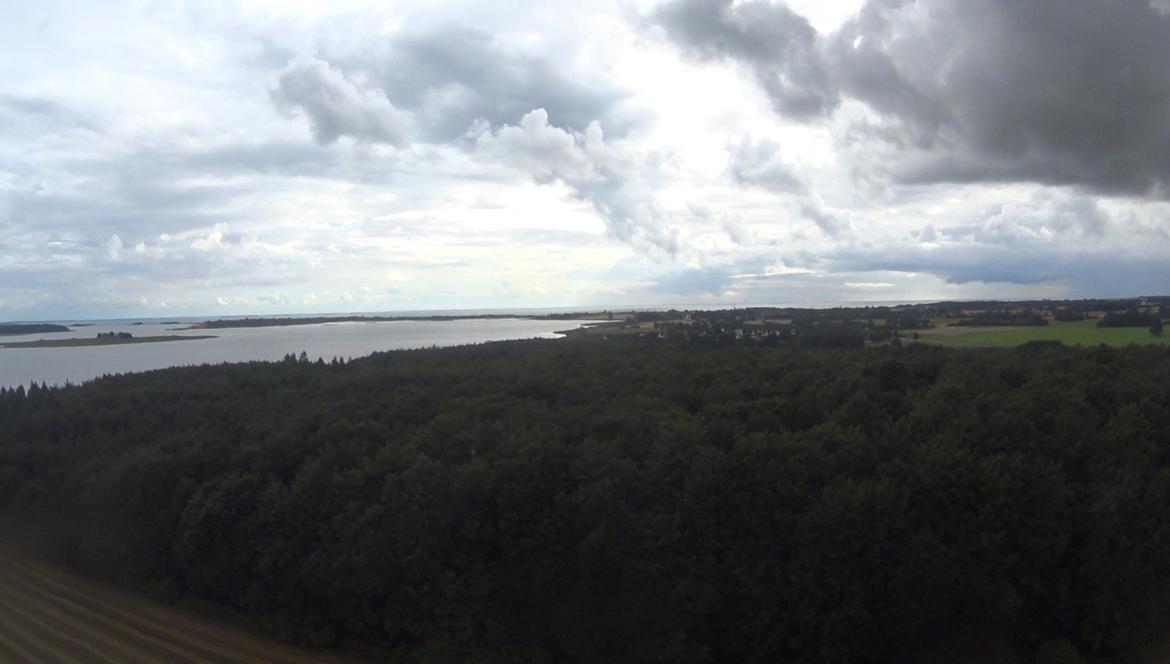 Fly Dynam Hawksky billede 9