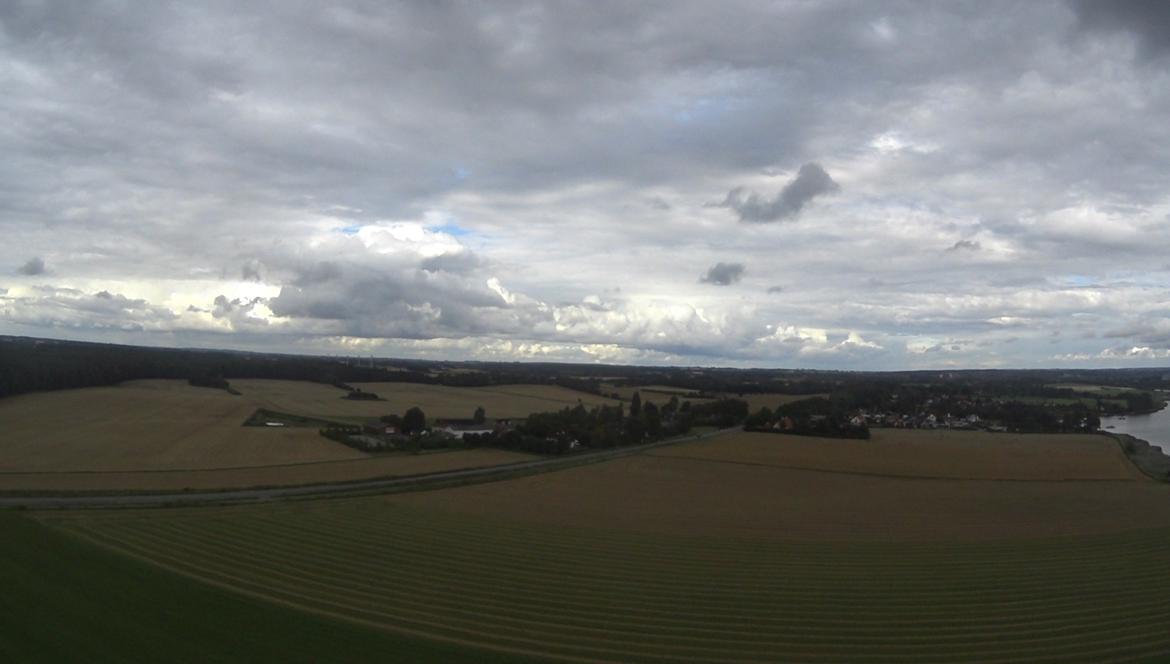 Fly Dynam Hawksky billede 12