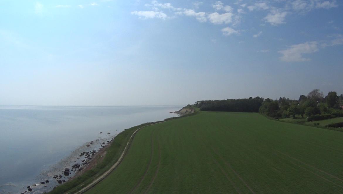 Fly Dynam Hawksky billede 15